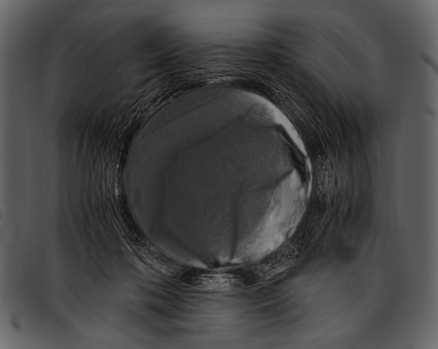 X0000097480316200803201515