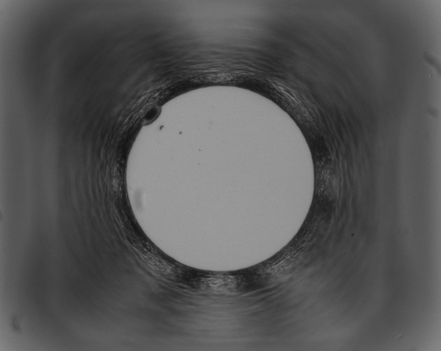 X0000097480317200803201515