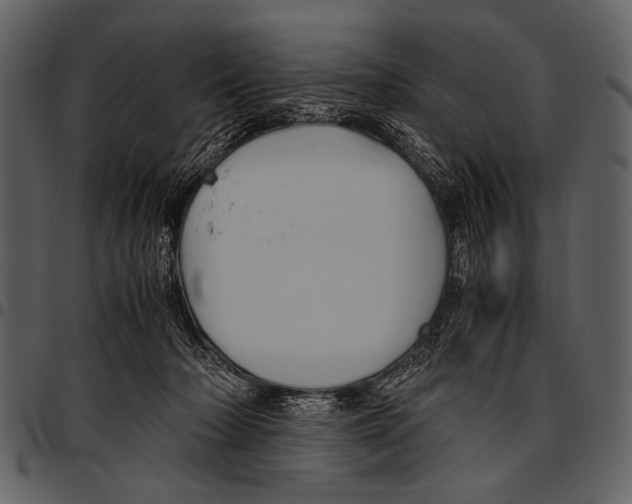 X0000097480318200803201515