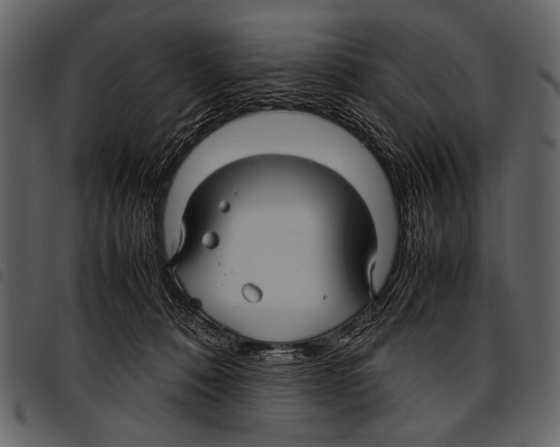 X0000097480320200803201515