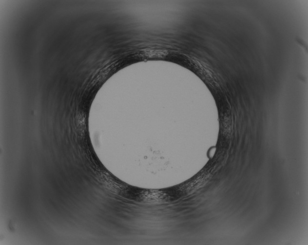 X0000097480321200803201515