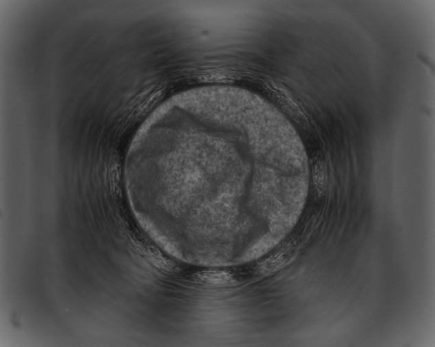 X0000097480322200803201515