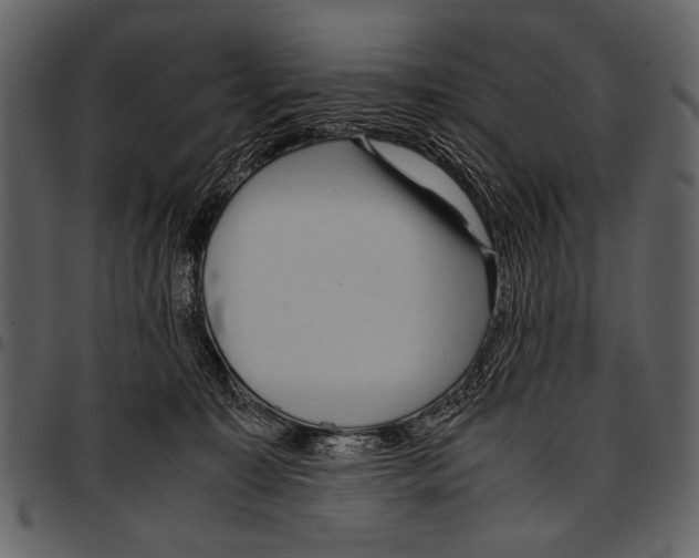 X0000097480323200803201514