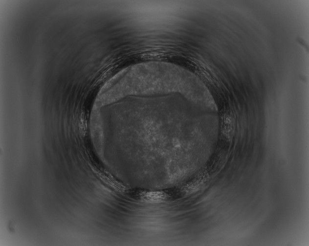 X0000097480324200803201514