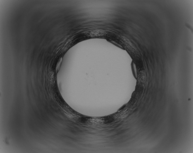 X0000097480327200803201514