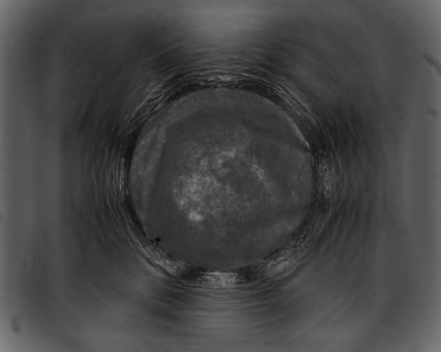 X0000097480328200803201514