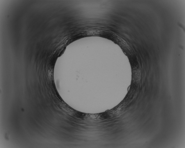 X0000097480329200803201514