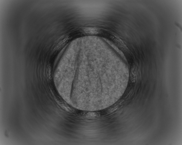 X0000097480330200803201514