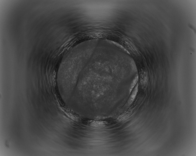 X0000097480332200803201514