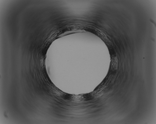 X0000097480333200803201514