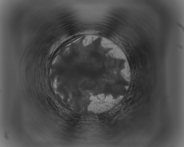 X0000097480337200803201514