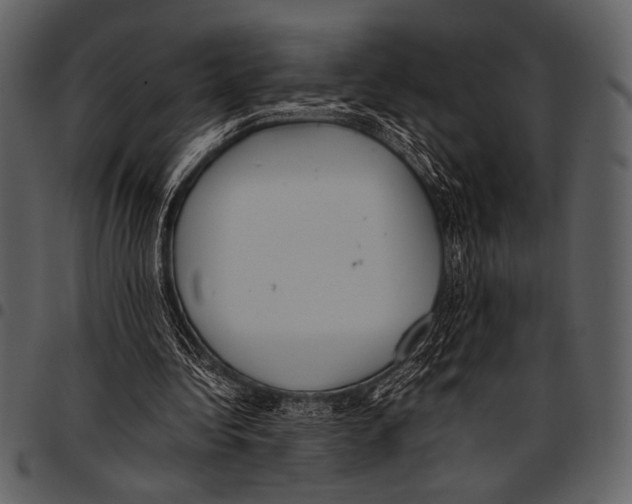 X0000097480340200803201514