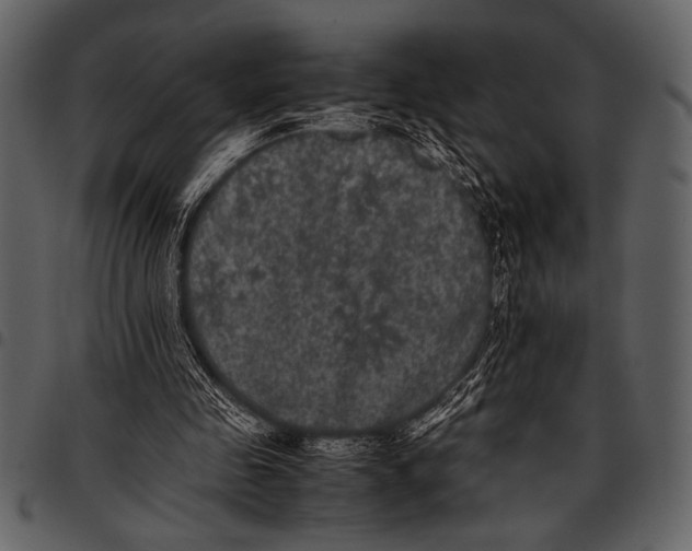 X0000097480341200803201514