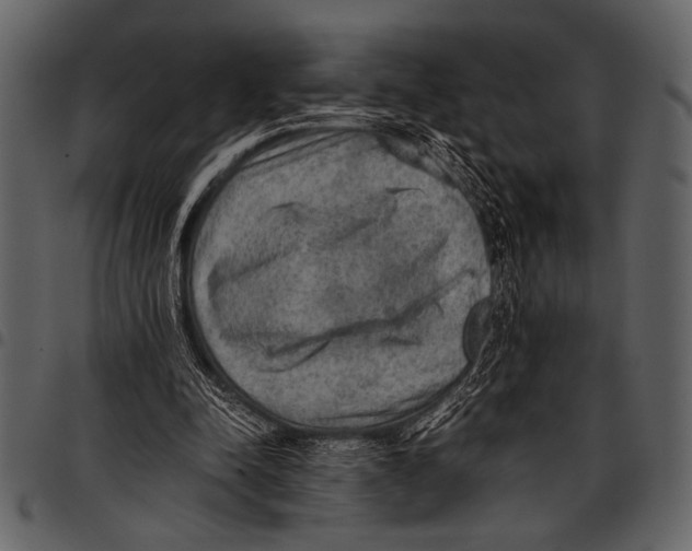 X0000097480342200803201514