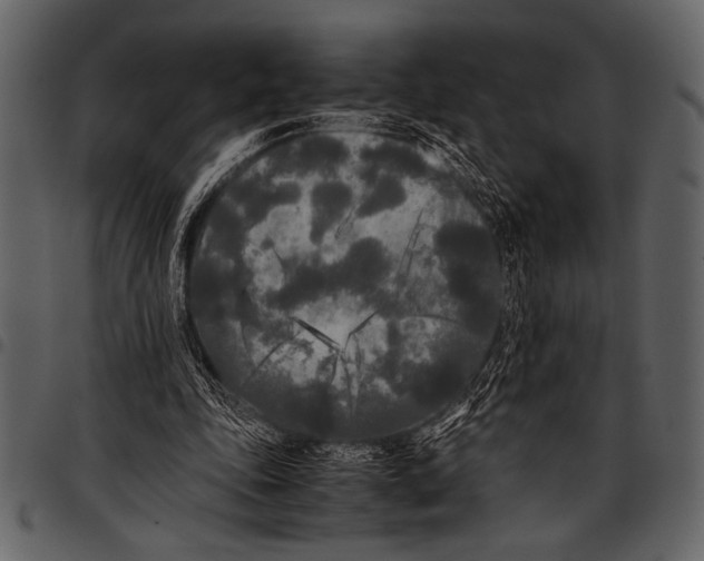 X0000097480343200803201514