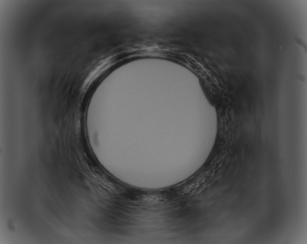 X0000097480344200803201514