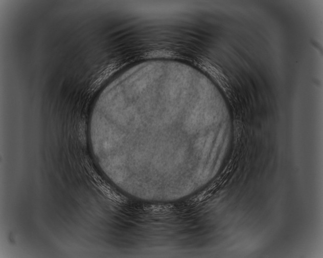 X0000097480345200803201514