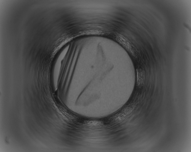 X0000097480348200803201514