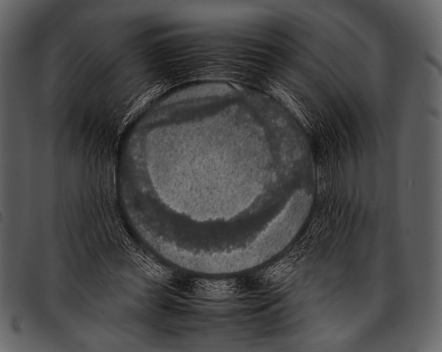 X0000097480349200803201514