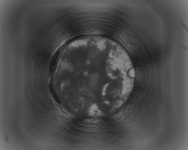 X0000097480351200803201514