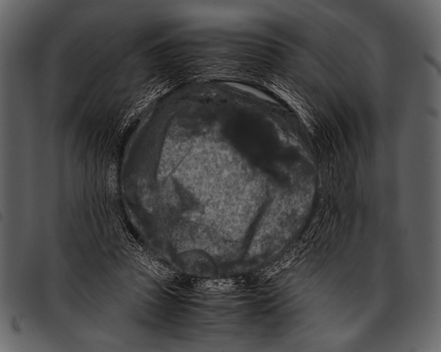 X0000097480353200803201514