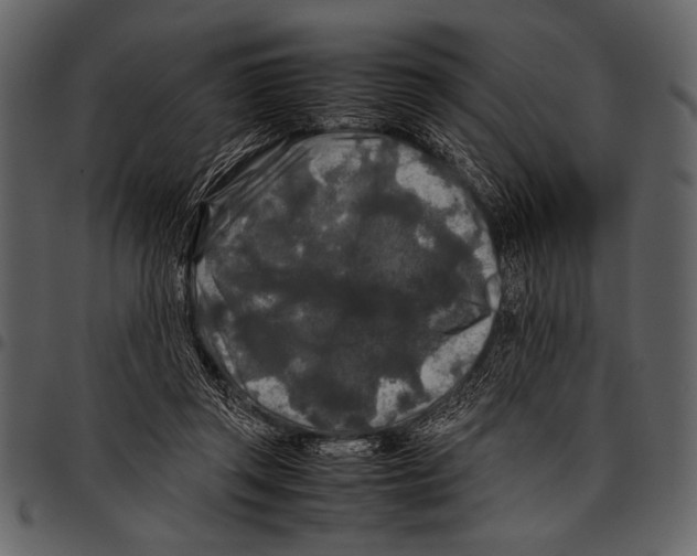 X0000097480357200803201514