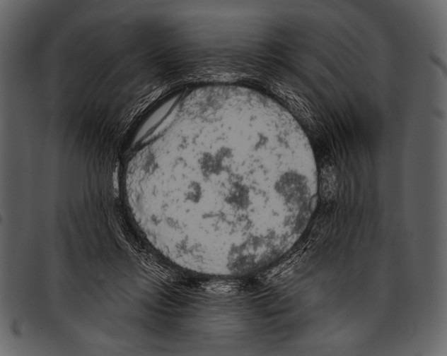 X0000097480358200803201514