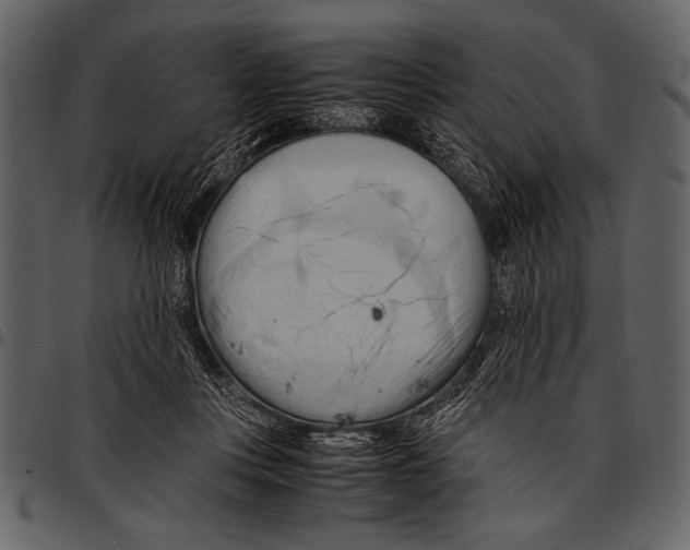 X0000097480359200803201514