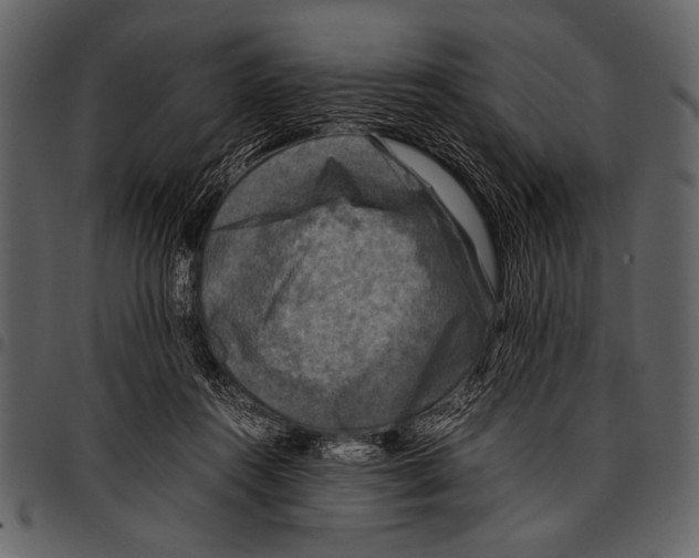 X0000097480360200803201514