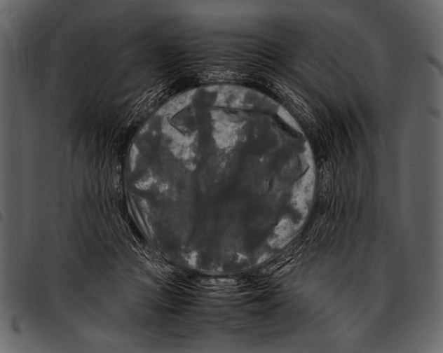 X0000097480361200803201514