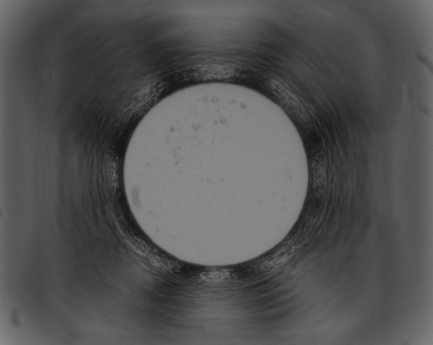 X0000097480362200803201514