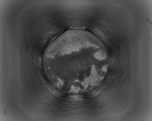 X0000097480365200803201514