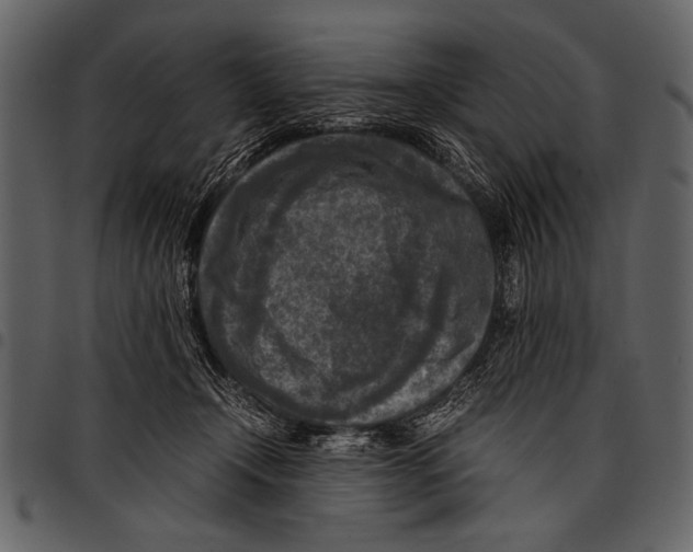 X0000097480366200803201514