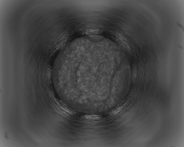 X0000097480367200803201514