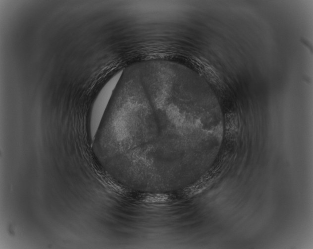 X0000097480369200803201514