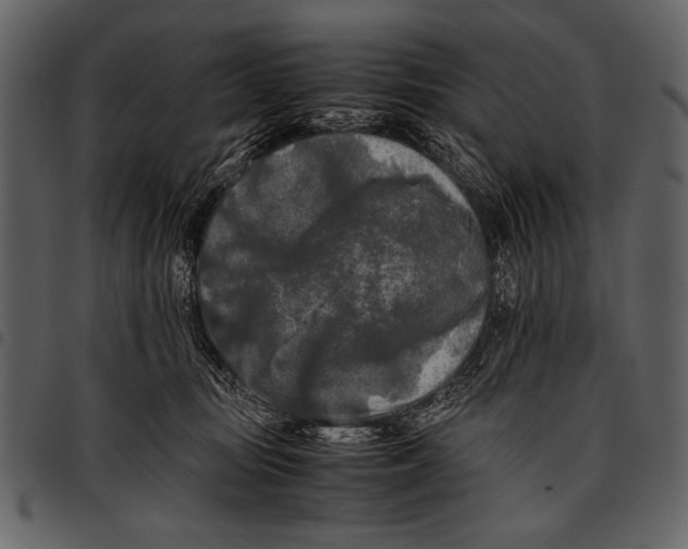 X0000097480371200803201514