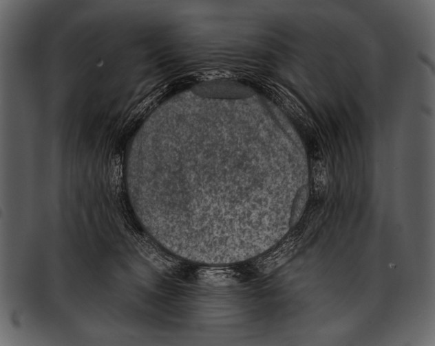 X0000097480372200803201514