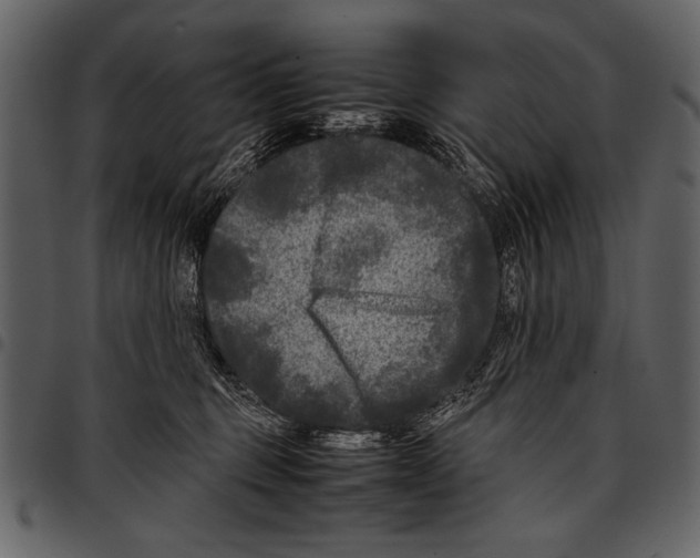 X0000097480375200803201514