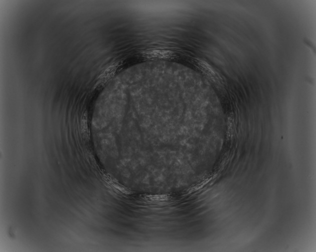 X0000097480377200803201514