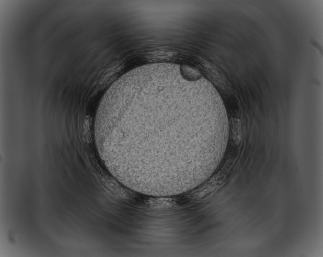 X0000097480378200803201514