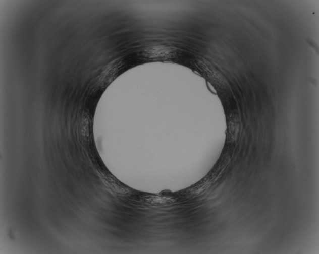 X0000097480379200803201514