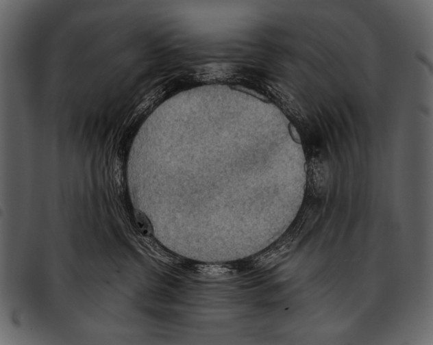 X0000097480380200803201514