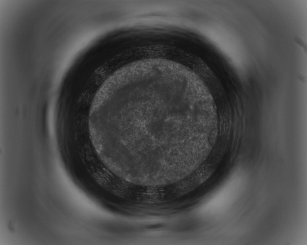 X0000097480383200803201514