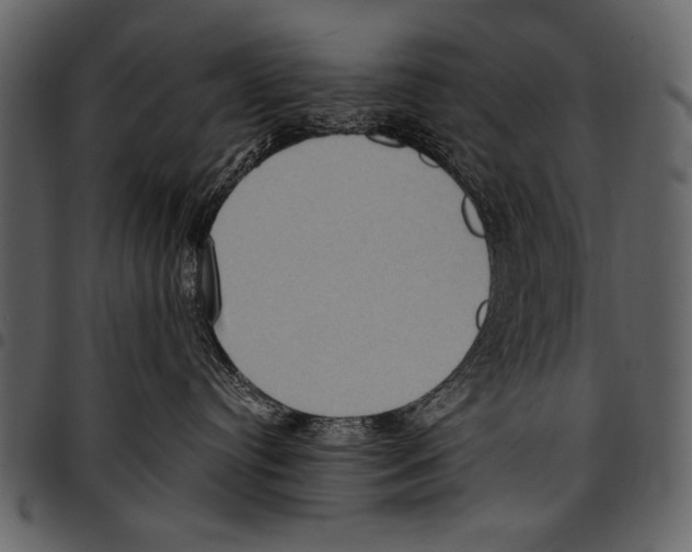 X0000097480384200803201514