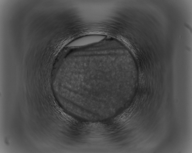 X0000097480385200803201514