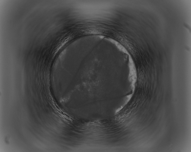 X0000097480386200803201514