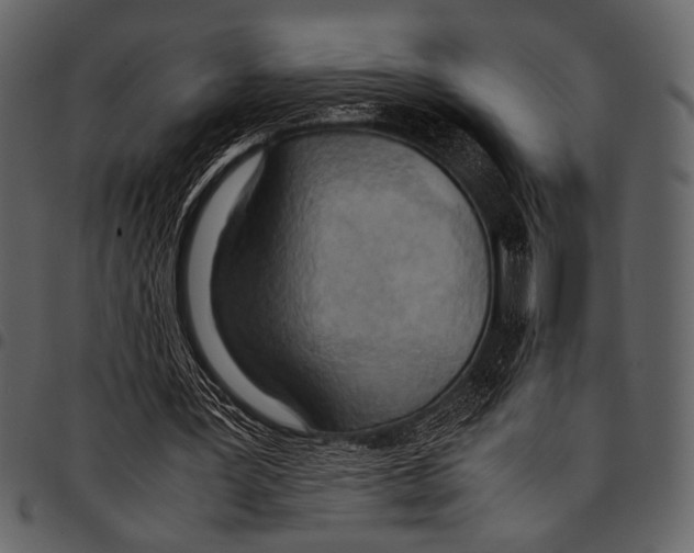 X0000097480387200803201514