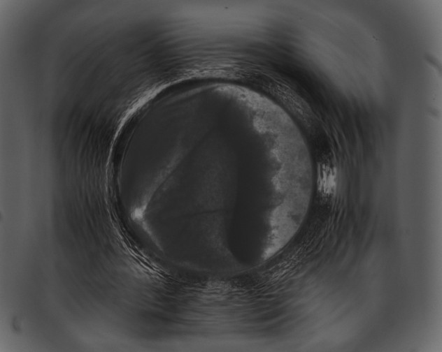 X0000097480388200803201514