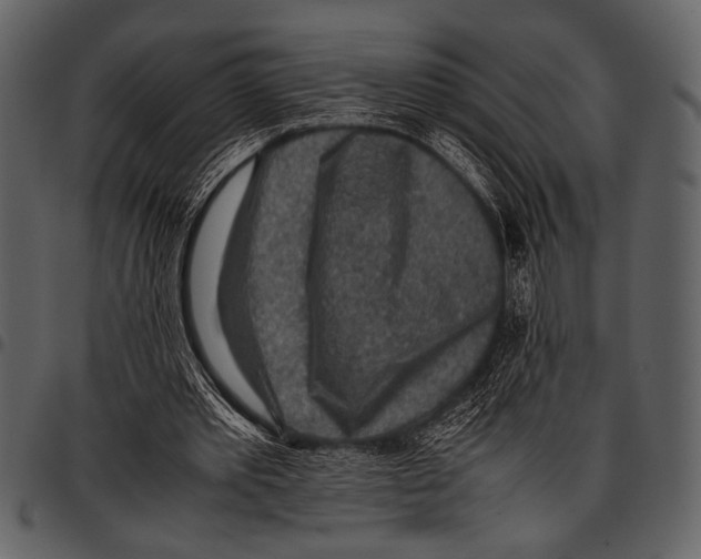 X0000097480389200803201514