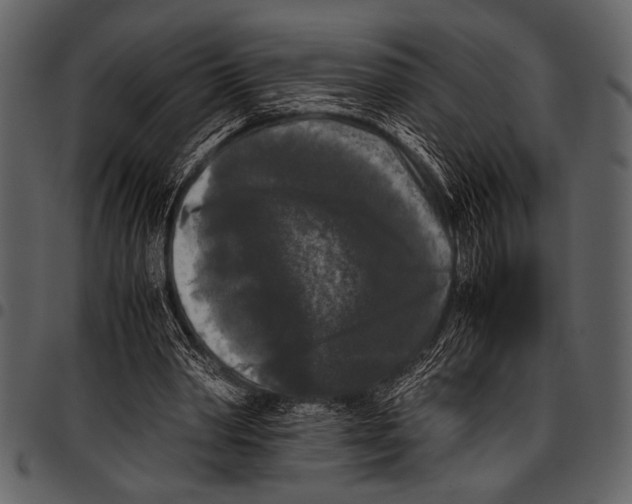 X0000097480390200803201514